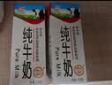 辉山纯牛奶250ml*24盒 3.1g乳蛋白 100mg钙 全新升级 营养牛奶 实拍图
