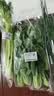 上海青约500g(油菜) 实拍图