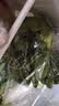 上海青约500g(油菜) 实拍图