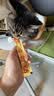 多特思猫零食主食猫条高肉含量成幼猫全价湿粮罐头猫饭小金条15g*100支 实拍图