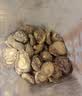十月稻田 金钱菇 200g 干香菇 小香菇 山珍菌菇干货 煲汤火锅炒菜食材 实拍图