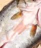 仙泉湖三去白蕉海鲈鱼1斤/条净膛刺少肉厚珠海特产500g海鲜中秋生鲜食材 实拍图
