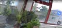 JUAN九安摄像头家用监控器360度无死角带全彩夜视800万超清无线wifi免插电磁吸免打孔手机远程语音对讲 实拍图