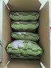 爸爸糖厚切小吐司牛乳&巧克力510g20枚儿童早餐面包整箱三明治源头直发 实拍图