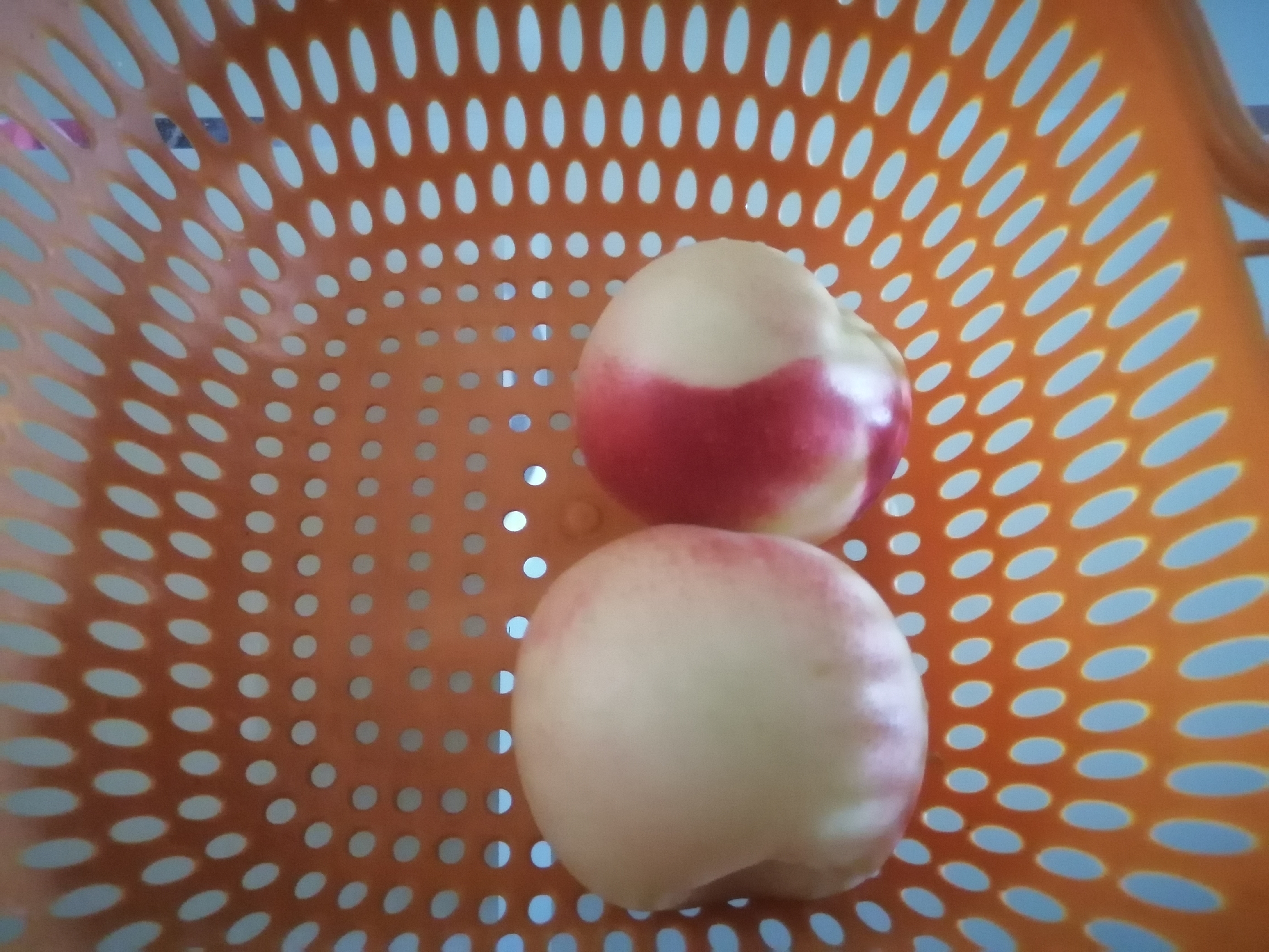 珍珠枣油桃450g 实拍图