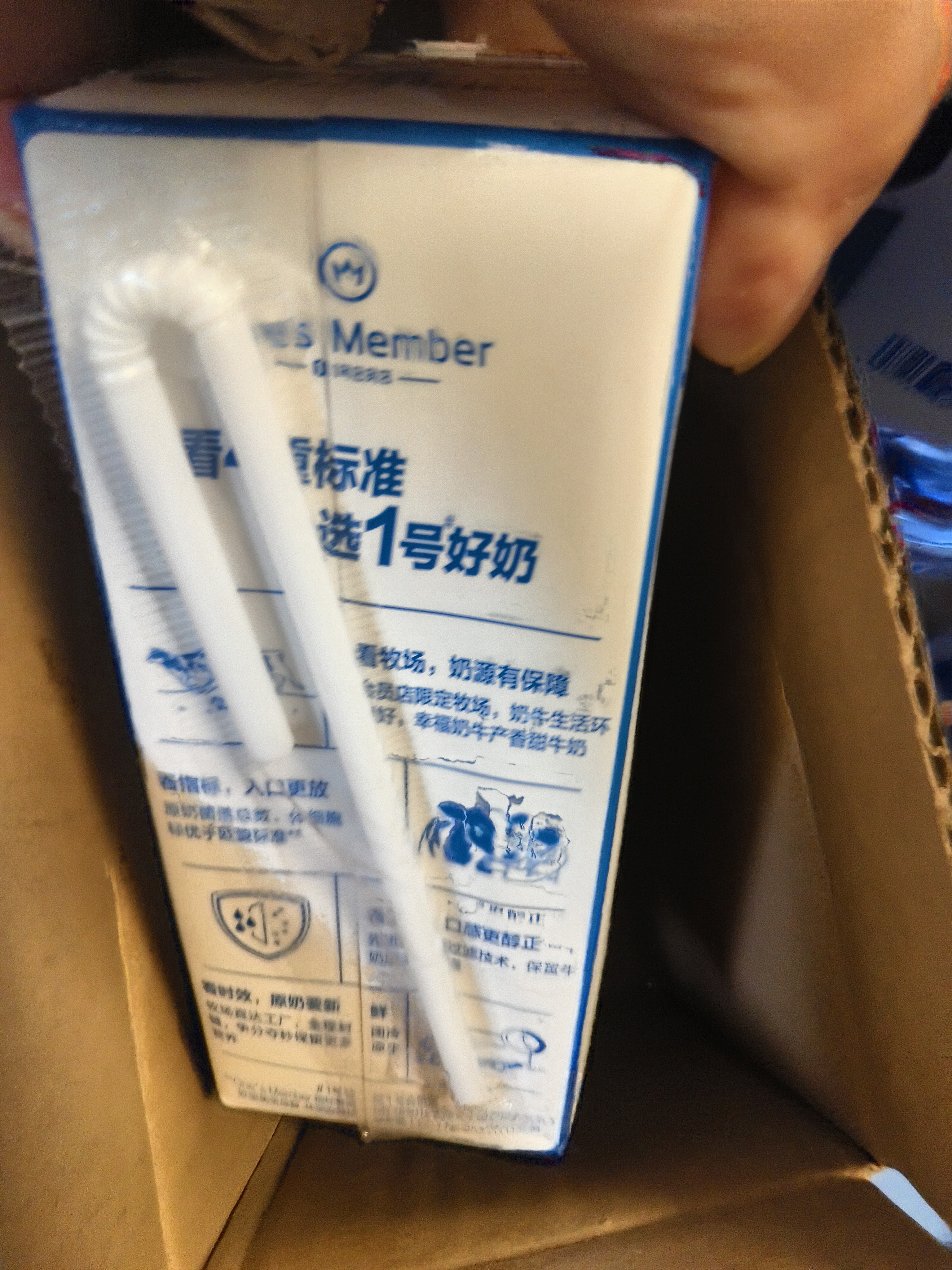 蒙牛低脂高钙牛奶 250ml*16盒 早餐伴侣健身减脂 送礼优选送礼礼盒 实拍图