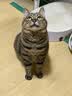 鲜朗低温烘焙猫粮无谷全期鲜郎全价天然兔肉配方2kg 实拍图