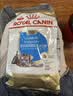 皇家狗粮 雪纳瑞幼犬狗粮 犬粮 宠物小型犬 SNJ30全价犬粮2-10月1.5KG 实拍图