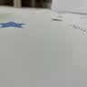 疯狂的主人宠物免洗垫子防水防尿防滑地垫pvc养猫专用狗窝围栏可擦狗狗地毯 实拍图