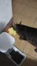 欢宠网猫玩具猫咪小黄鸭猫薄荷响纸鸭子磨牙自嗨解闷猫猫小猫幼猫宠物 实拍图