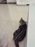 麦富迪猫粮 超肉粒冻干双拼幼猫粮免疫护肠胃 三文鱼2kg 实拍图