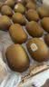 佳沛（zespri）新西兰金奇异果18粒超大原箱175-204g猕猴桃中秋节礼品送水果礼盒 实拍图