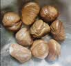 三只松鼠有机甘栗仁500g 熟制即食板栗仁栗子仁坚果休闲零食团购送礼 实拍图