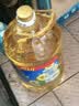 金龙鱼 食用油 物理压榨葵花籽油6.18L 实拍图