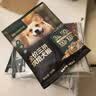 网易严选犬粮 全价冻干三拼鸡肉狗粮幼犬成犬小型中大型犬通用金毛 2kg 实拍图