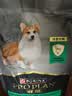 冠能狗粮体重控制绝育犬成犬狗粮全价2.5kg 高蛋白低脂肪健康减轻体重 实拍图