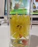 贡苑【教师节礼物】胖大海金银花罗汉果甘草菊花雪梨茶送老师护嗓润喉 实拍图