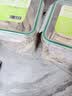 WEYES冻干鸭小胸350g桶装宠物猫狗零食大礼包营养适口性好 实拍图