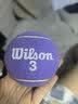 Wilson威尔胜2025全新配色罐装网球2颗装 落日紫色【球上数字随机】 实拍图