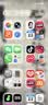 Apple 苹果 iPhone 14 Pro (A2892)  二手手机 5G全网通 双卡A16 暗紫色 256G 实拍图