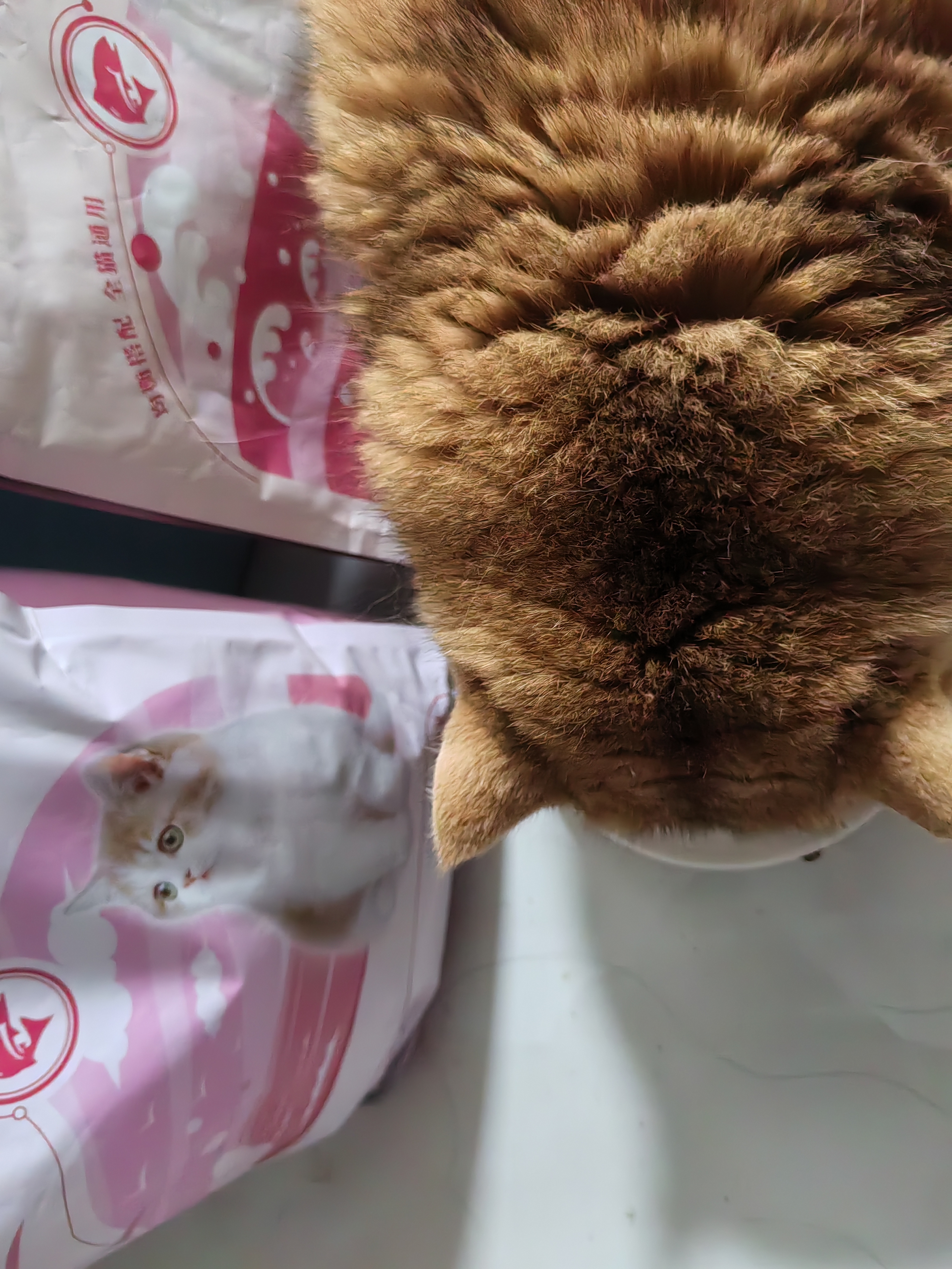 奥丁（ODIN）猫粮 美短英短蓝猫暹罗猫 鱼肉味猫咪食品 成猫全价猫粮2kg 实拍图