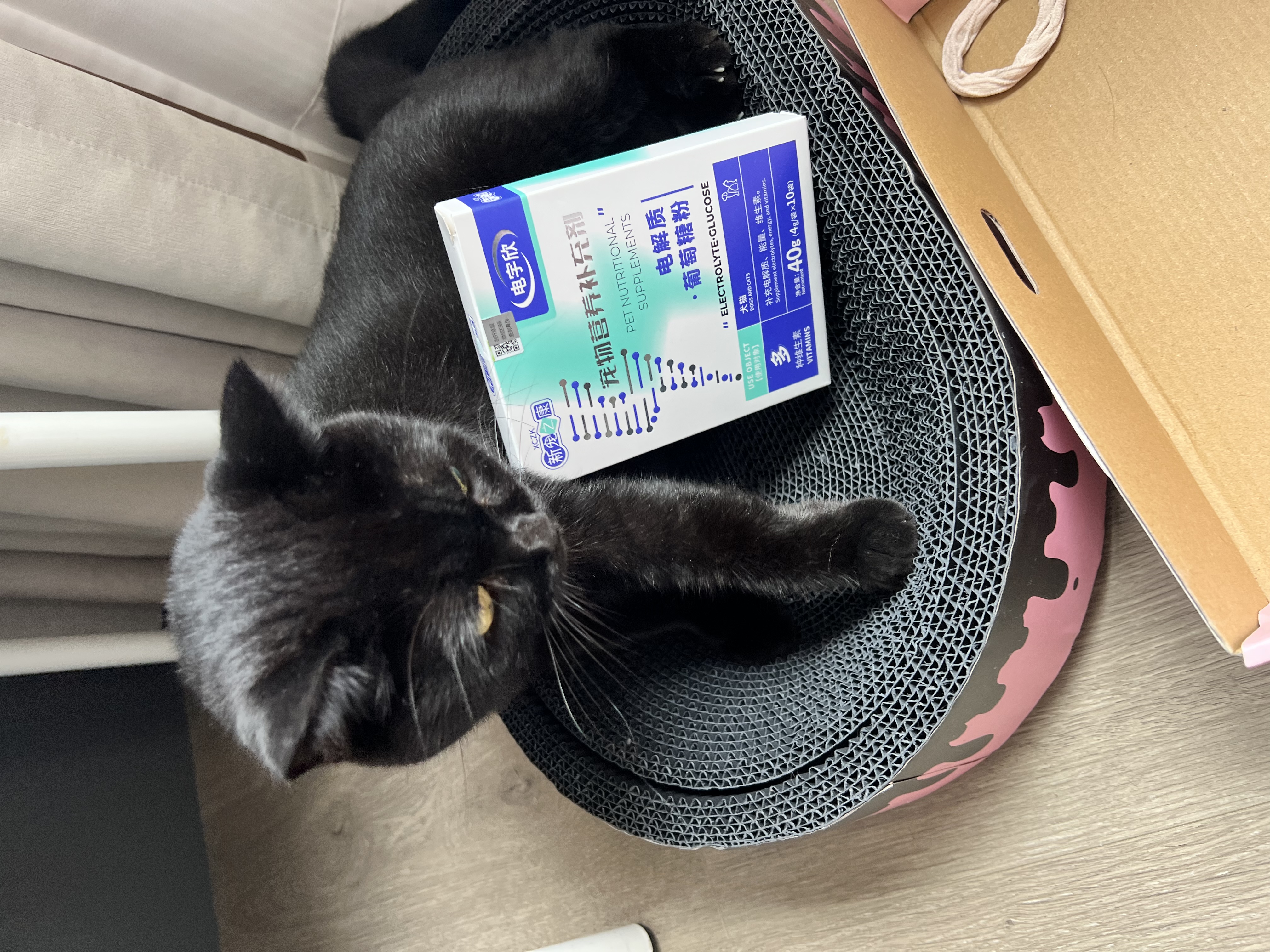 新宠之康宠物猫咪狗狗电解质葡萄糖粉能量恢复体弱虚钾钠液盐脱水中暑应激 实拍图