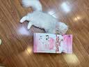 皇家猫粮 幼猫猫粮 幼猫奶糕 K36 通用粮 4-12月 2KG 实拍图