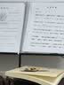 天色莫兰迪乐谱夹A4/40页可书写资料册琴谱夹钢琴文件夹 吉他古筝谱夹子不反光 TS-1650 风铃紫 实拍图