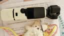大疆（DJI）Osmo Pocket 3 灵眸口袋云台相机 DJI 手持数码相机 旅游 vlog 美颜摄像 高清增稳 【明日达专享】Pocket 3标准套装 官方标配 实拍图