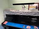 明基(BenQ) PianoLight钢琴灯护眼全光谱LED智能侦测全年龄段练琴专用 实拍图