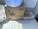 奥妙（OMO）吴磊好物酵素洁净除菌除螨持久留香18.4斤校服净洗衣液京东自营 实拍图