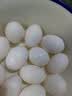 京鲜生鲜鸽子蛋杂粮喂养白鸽宝宝辅食礼盒30枚550g 京东自营源头直发 实拍图
