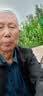 喜润家平板拖把40CM共1布商用尘推木地板大理石瓷砖拖布墩布保洁排拖 实拍图