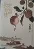 【自营包邮】长安的荔枝 马伯庸 赠荔枝转运舆图  电影原著小说  见微系列历史小说 影视剧原著小说 桃花源没事儿 实拍图