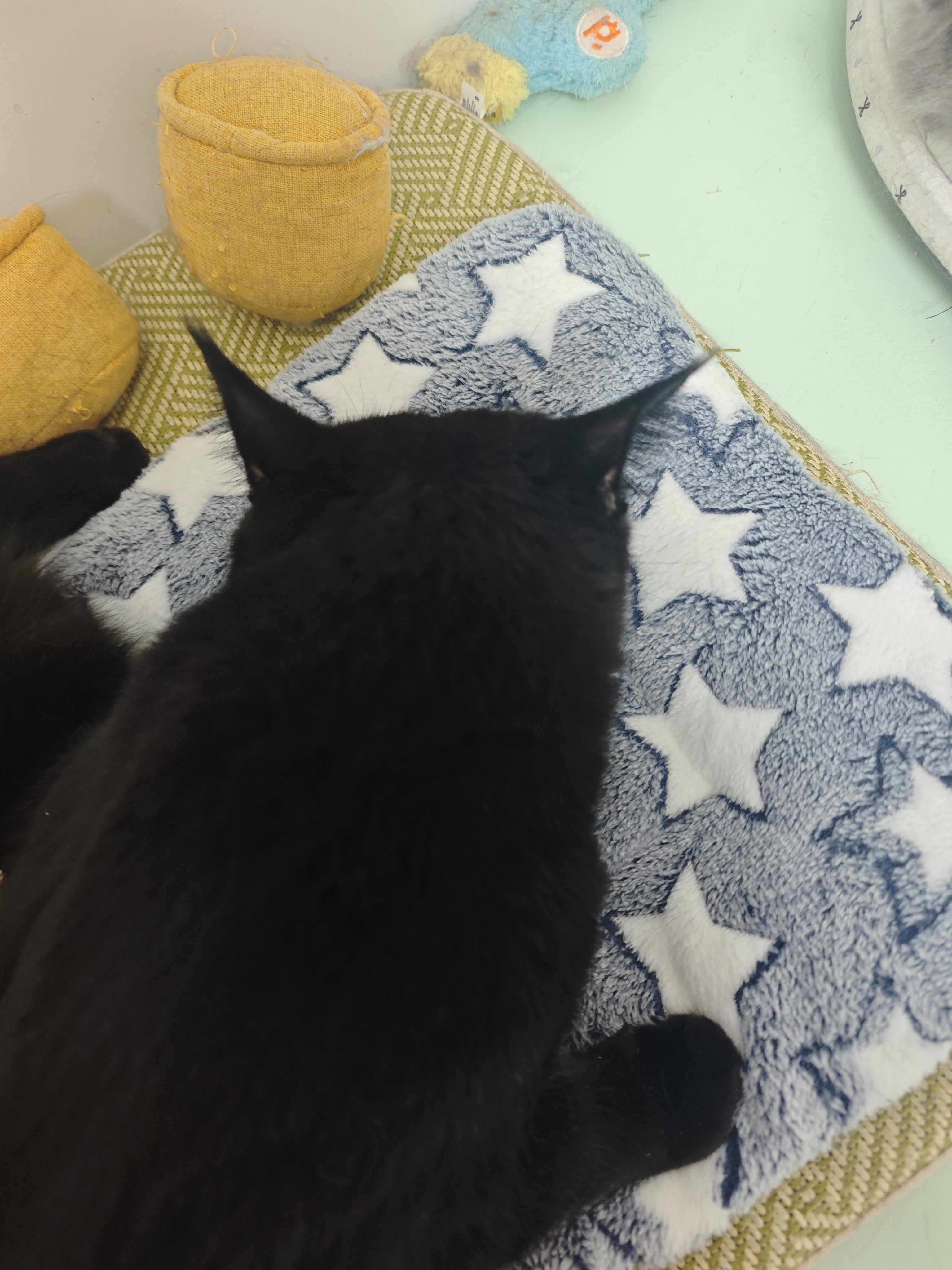 HELLOJOY狗垫子狗窝冬季保暖猫垫子宠物冬加厚猫窝睡觉用毛毯猫咪狗狗睡垫 实拍图