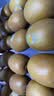 佳沛（zespri）金奇异果25粒原箱特大果134-146g猕猴桃中秋节礼品送水果礼盒 实拍图
