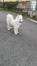 海洋之星 主食冻干双拼狗粮小型犬中大型犬成犬幼犬粮10kg 实拍图