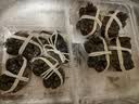 【活蟹】湖鲜阳澄 大闸蟹 去绳足重 3.1-3.4两 8只 鲜活六月黄现货超大螃蟹生鲜礼盒装 实拍图