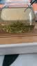 乐品乐茶毛尖茶叶特级明前春茶嫩芽2026新茶绿茶礼盒装250g自己喝中秋送礼 实拍图