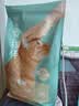 网易严选宠爱相伴全价猫粮 实惠宠物主粮成幼猫爱心公益 美毛护肠胃 1.8kg 实拍图