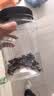 每果时光盐炒黑豆500g罐装即食炒熟香酥原味盐焗坚果炒货豆子中秋休闲零食 实拍图