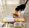 诚实一口宠物礼包餐盒猫条主食罐猫粮零食 实拍图