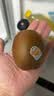 佳沛（zespri）新西兰金奇异果8粒超大果175-204g猕猴桃中秋节礼品送水果礼盒 实拍图