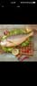 冰鲜 黄花鱼200-300g/条 实拍图