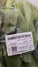 上海青约500g(油菜) 实拍图