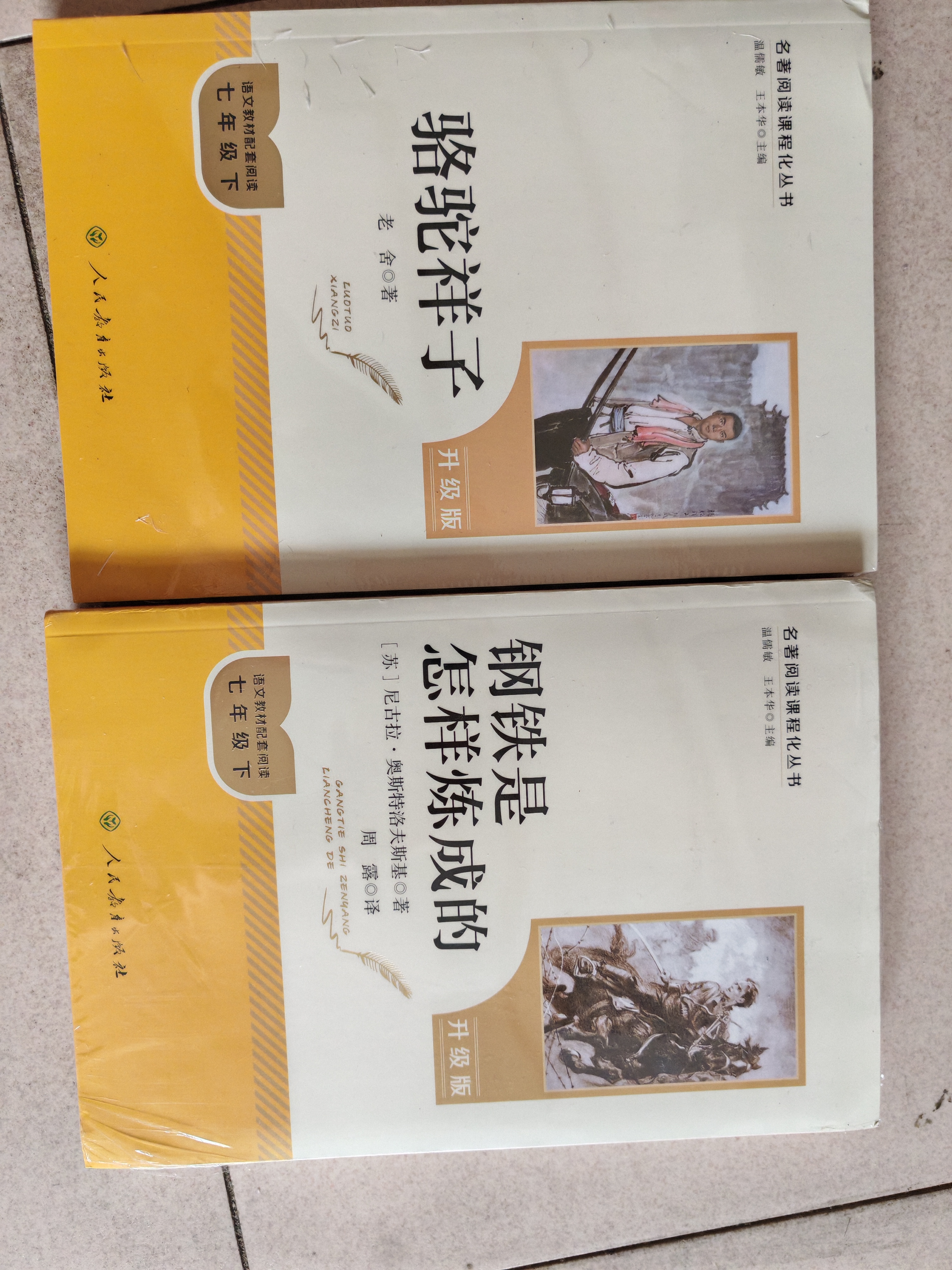 当当新版 骆驼祥子 朝花夕拾 西游记  钢铁是怎样炼成的 人教版七年级上册 人教版 七年级下册课外书课外阅读名著初一书目 朝花夕拾 原著无删减版 人民教育出版社 西游记 七年级上册 西游记(上下册)+ 实拍图