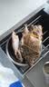 【冷冻】森农乐舟山梭子蟹新鲜特大野生螃蟹（今年新蟹活冻顺丰） 净重3-4两/只【10只 精品野生】 实拍图