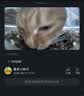 路斯鲜肉无谷猫粮全价通用冻干粮肉松夹心鲜鸡肉鸭肉配方 50g试用装 实拍图