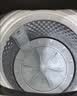 美的（Midea）免清洗波轮洗衣机全自动7公斤小型家用 一级能效 MB70V56B 新风换气 以旧换新 补贴 京东自营 宿舍 实拍图