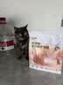 坦克小希轻烘焙全价鲜三文鱼肉猫干粮0油脂海陆双拼亮毛美毛成幼猫粮1.5kg 实拍图